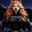 SpaceX Sexy Inu icon