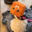 Privacy Dog icon