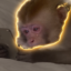 apeonfone icon