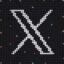 X icon