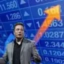 The Elon Effect icon