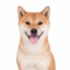 Anti AI icon