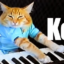 Keyboard Cat icon