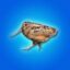 Meepbird icon
