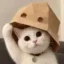 doxxed cat icon