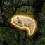 The Albino Bear icon