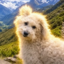 Chaku Cusqueño icon