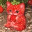 Fruitcat icon