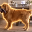 The Worst Guard Dog icon