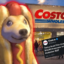 Costco Wholesale Corp icon