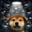 Attention Inu icon