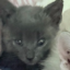 Delilah icon
