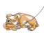 crypto the dog icon