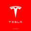 Tesla icon