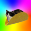 tacocat icon