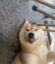 duge icon