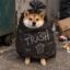 trashinu icon