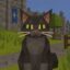RUNEPAD CAT icon