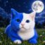 cat szn icon
