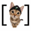 Bracat icon