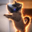 VRCAT icon