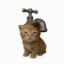 Faucat icon