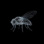 flybrain icon