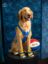 Buddy The Dog icon