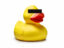 rubber duck icon
