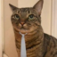 HopeCat icon