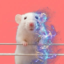The Quantum Rat icon