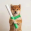 baton icon
