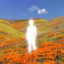 Clarity icon