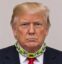 trump wif twine icon