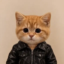 Jackcat icon