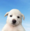 this will save trenches icon