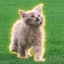 ChipPurr Jones icon
