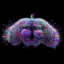 Fly Trader icon