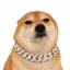 ONCHAIN icon