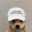 dogwifcult icon
