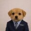 Startpup icon
