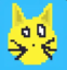 Solana cat icon