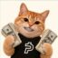 Get Money icon
