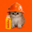 BONKCAT icon