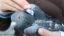 Birds icon