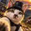 邓登的 GoPro 猫 icon