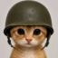 TRENCHER icon