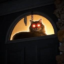 laser cat icon