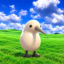 The Addiction Bird， icon