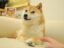 Do Only Good Everyday icon